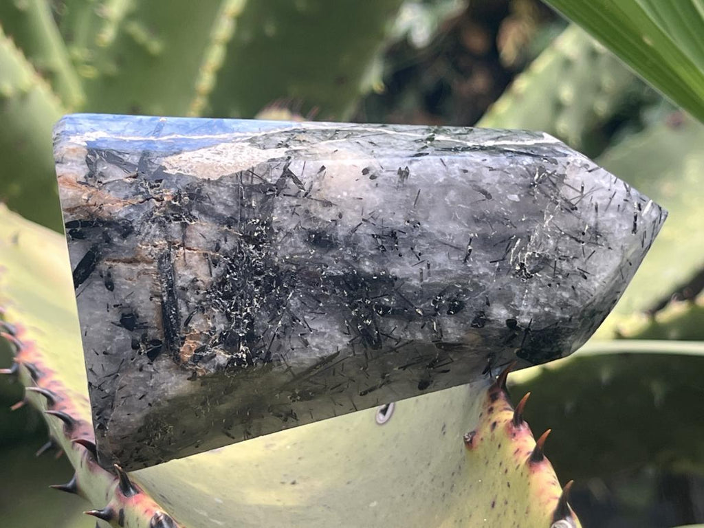 Polished Tourmalinated Inclusion Quartz Crystal x 1 From Madagascar