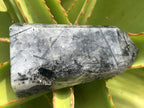 Polished Tourmalinated Inclusion Quartz Crystal x 1 From Madagascar
