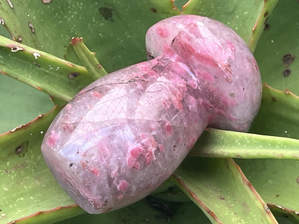 Polished Medium Ultra Rare Rhodonite Mushroom x 1 From Madagascar