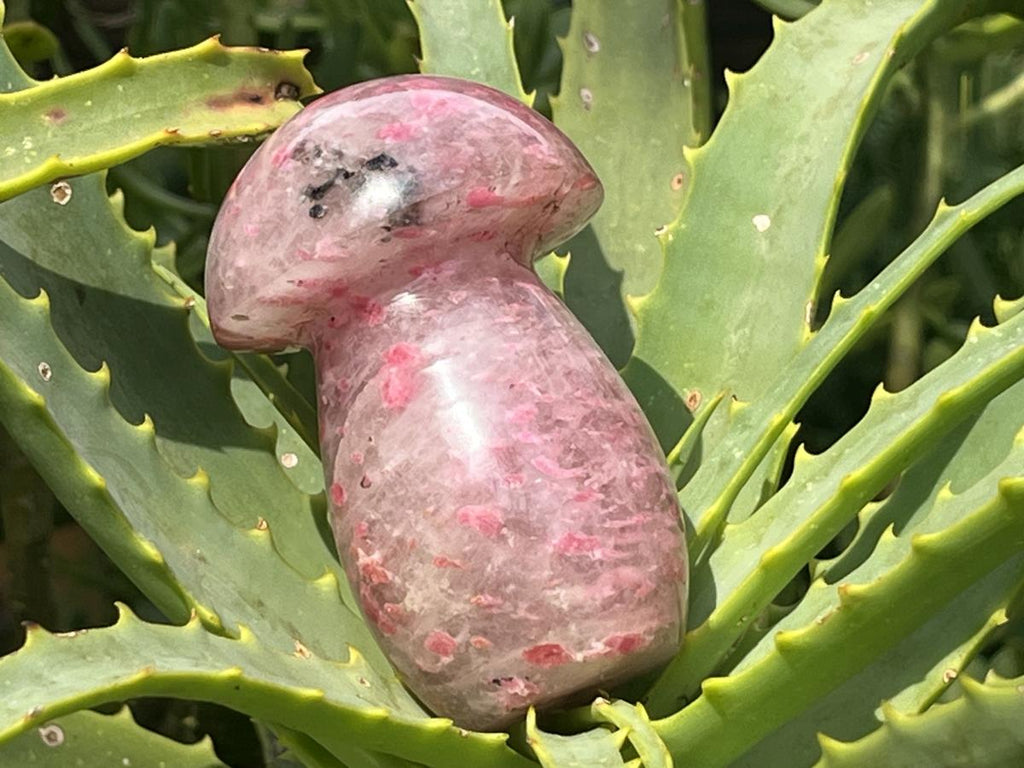 Polished Medium Ultra Rare Rhodonite Mushroom x 1 From Madagascar