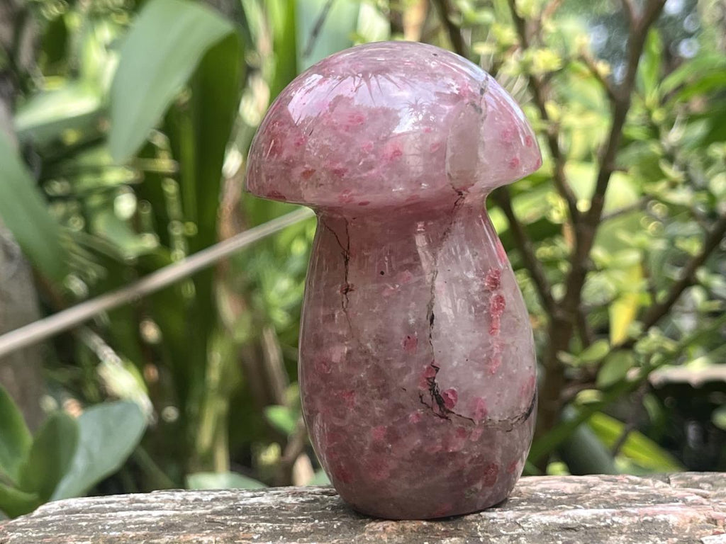 Polished Medium Ultra Rare Rhodonite Mushroom x 1 From Madagascar