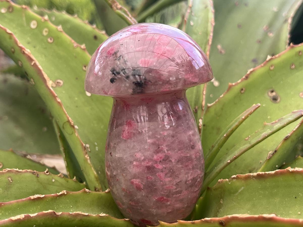 Polished Medium Ultra Rare Rhodonite Mushroom x 1 From Madagascar