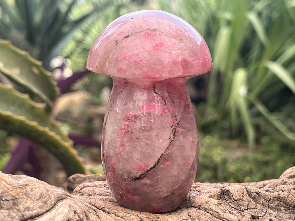 Polished Medium Ultra Rare Rhodonite Mushroom x 1 From Madagascar