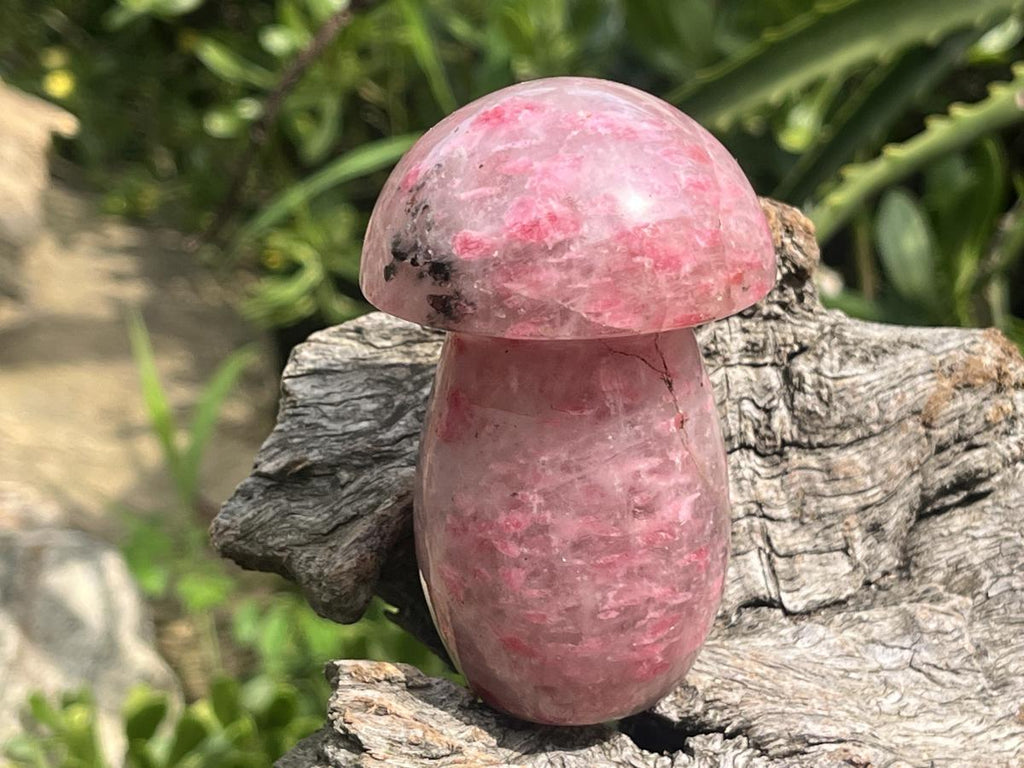 Polished Medium Ultra Rare Rhodonite Mushroom x 1 From Madagascar