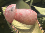 Polished Medium Ultra Rare Rhodonite Mushroom x 1 From Madagascar