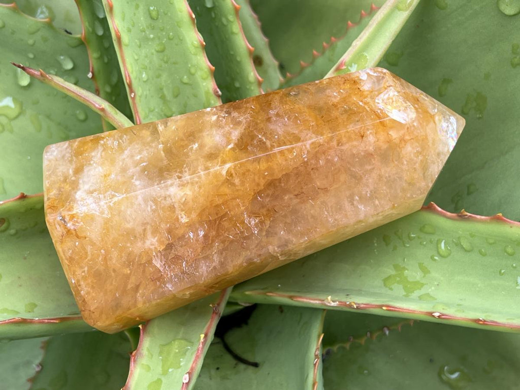 Polished Golden Healer Limonite Quartz Crystal x 1 From Madagascar