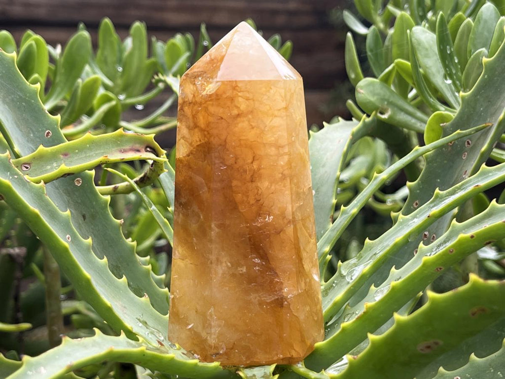 Polished Golden Healer Limonite Quartz Crystal x 1 From Madagascar
