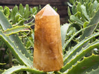 Polished Golden Healer Limonite Quartz Crystal x 1 From Madagascar