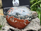 Polished Orbicular Ocean Jasper Gemstone Heart x 1 From Madagascar