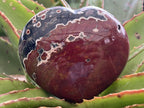 Polished Orbicular Ocean Jasper Gemstone Heart x 1 From Madagascar