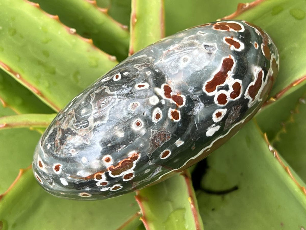 Polished Orbicular Ocean Jasper Gemstone Heart x 1 From Madagascar