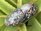 Polished Orbicular Ocean Jasper Gemstone Heart x 1 From Madagascar