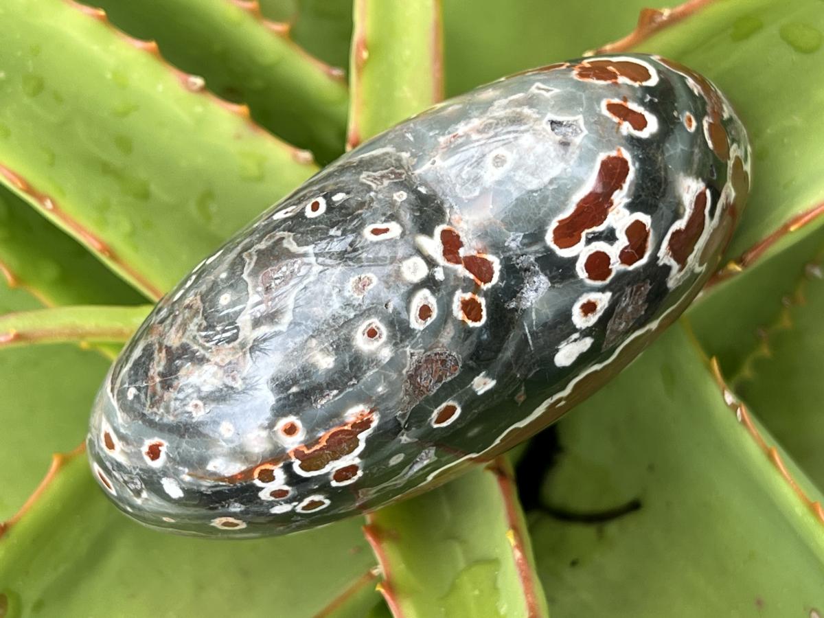 Polished Orbicular Ocean Jasper Gemstone Heart x 1 From Madagascar