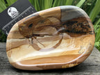 Polished Large Polychrome Picture Jasper Bowl x 1 From Madagascar
