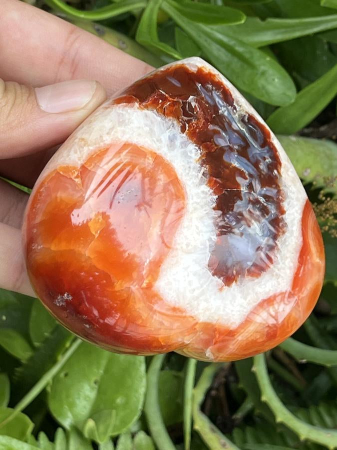Polished Carnelian Gemstone Heart x 1 From Madagascar
