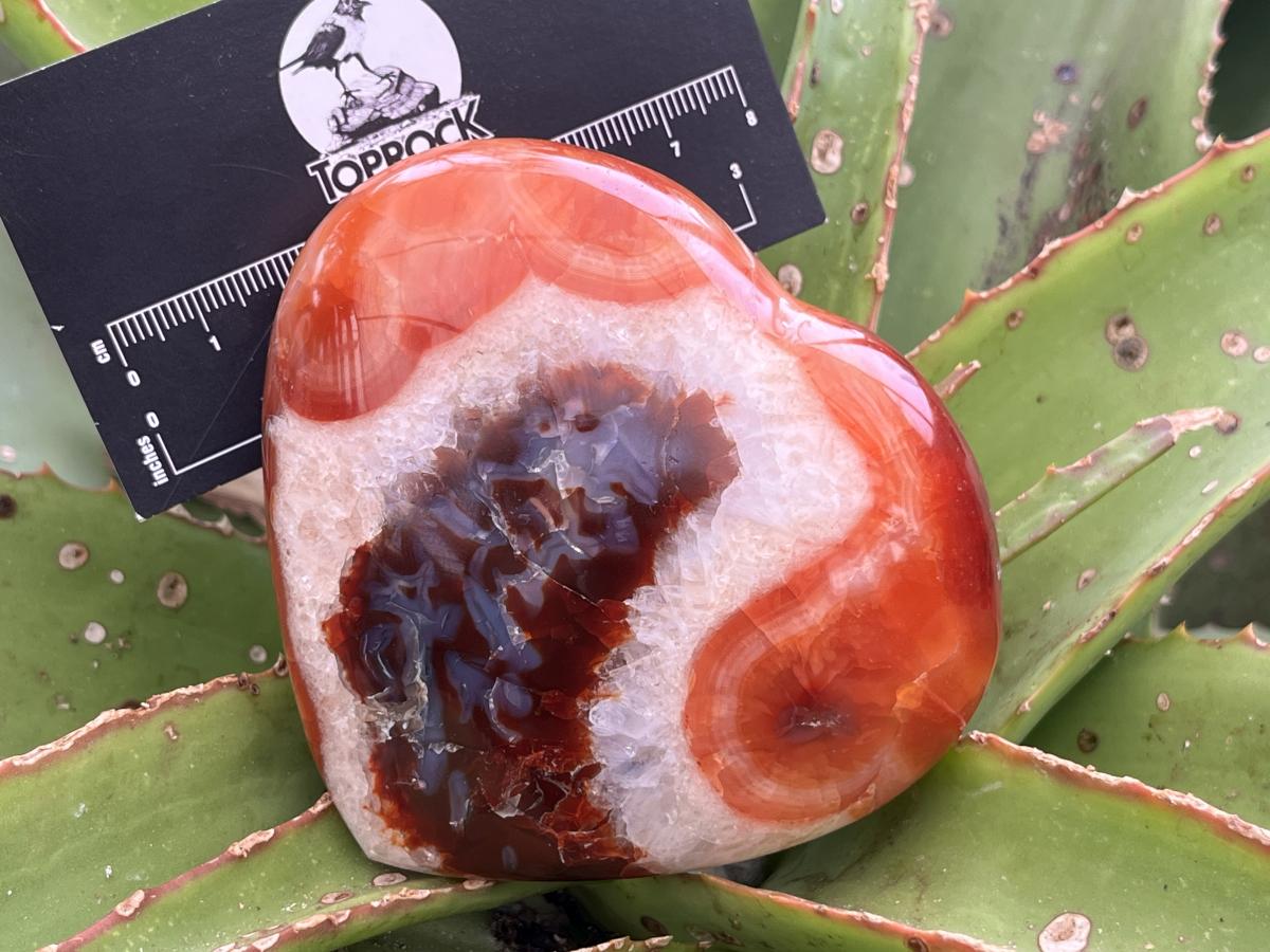 Polished Carnelian Gemstone Heart x 1 From Madagascar