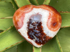 Polished Carnelian Gemstone Heart x 1 From Madagascar