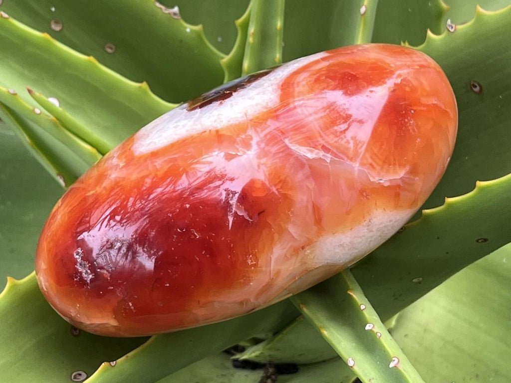 Polished Carnelian Gemstone Heart x 1 From Madagascar