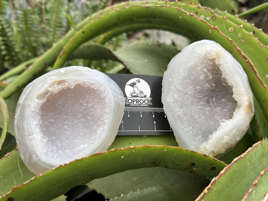 Polished Pair of Agate Crystal Geodes x 1 From Maintirano Madagascar