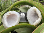 Polished Pair of Agate Crystal Geodes x 1 From Maintirano Madagascar