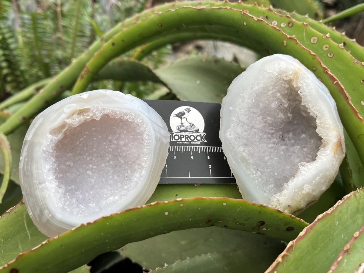 Polished Pair of Agate Crystal Geodes x 1 From Maintirano Madagascar