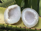 Polished Pair of Agate Crystal Geodes x 1 From Maintirano Madagascar