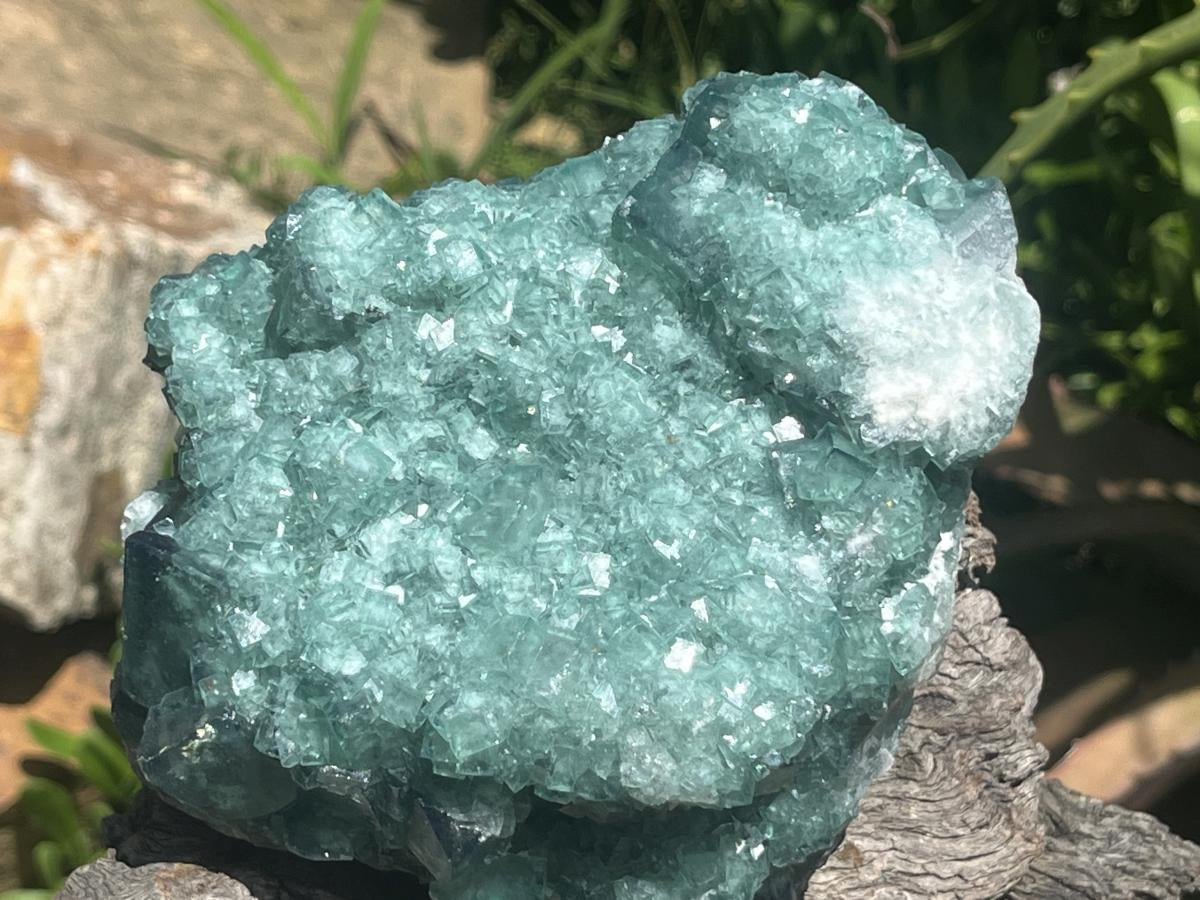 Natural Green Cubic Fluorite Cabinet Specimen x 1 From Mandrosonoro Madagascar