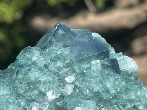 Natural Green Cubic Fluorite Cabinet Specimen x 1 From Mandrosonoro Madagascar