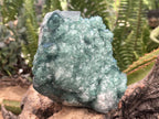 Natural Green Cubic Fluorite Cabinet Specimen x 1 From Mandrosonoro Madagascar