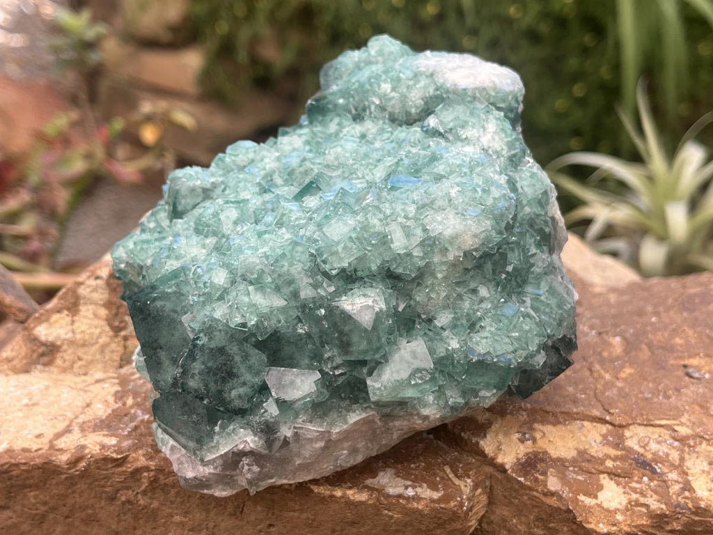 Natural Green Cubic Fluorite Cabinet Specimen x 1 From Mandrosonoro Madagascar
