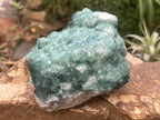 Natural Green Cubic Fluorite Cabinet Specimen x 1 From Mandrosonoro Madagascar