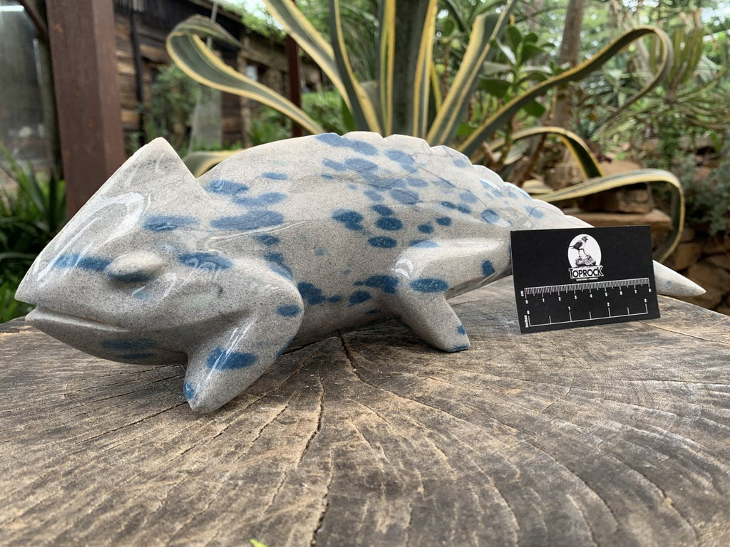 Hand Made Polished Blue Spotted Spinel Chameleon Carving x 1 From Madagascar