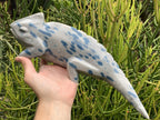 Hand Made Polished Blue Spotted Spinel Chameleon Carving x 1 From Madagascar