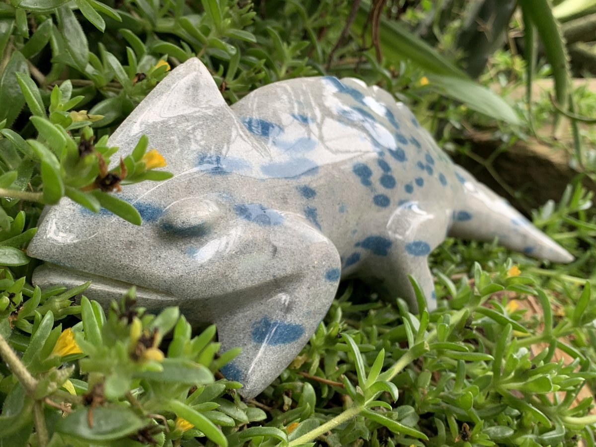 Hand Made Polished Blue Spotted Spinel Chameleon Carving x 1 From Madagascar