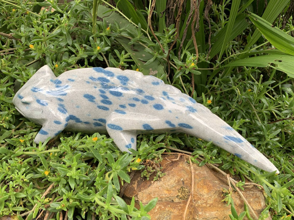 Hand Made Polished Blue Spotted Spinel Chameleon Carving x 1 From Madagascar