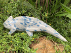 Hand Made Polished Blue Spotted Spinel Chameleon Carving x 1 From Madagascar