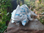 Hand Made Polished Blue Spotted Spinel Chameleon Carving x 1 From Madagascar