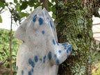 Hand Made Polished Blue Spotted Spinel Chameleon Carving x 1 From Madagascar