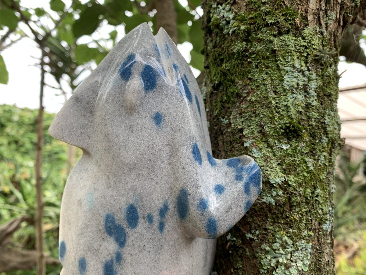 Hand Made Polished Blue Spotted Spinel Chameleon Carving x 1 From Madagascar