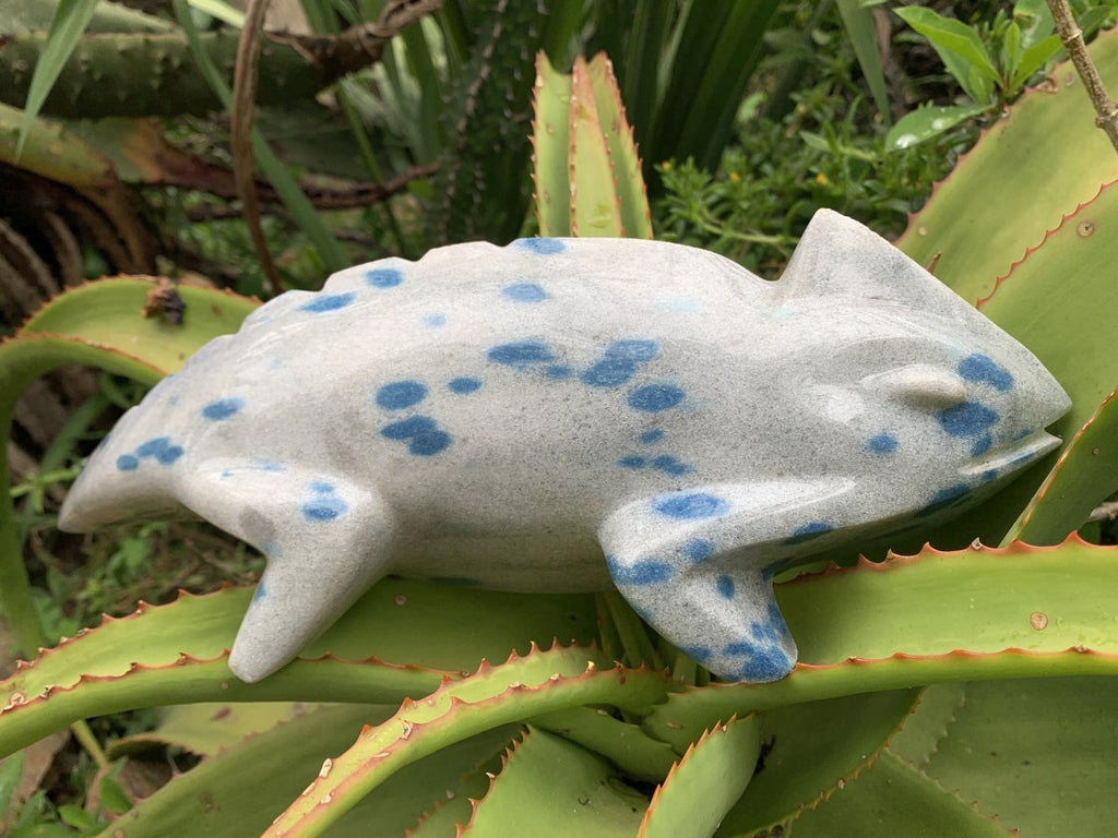 Hand Made Polished Blue Spotted Spinel Chameleon Carving x 1 From Madagascar