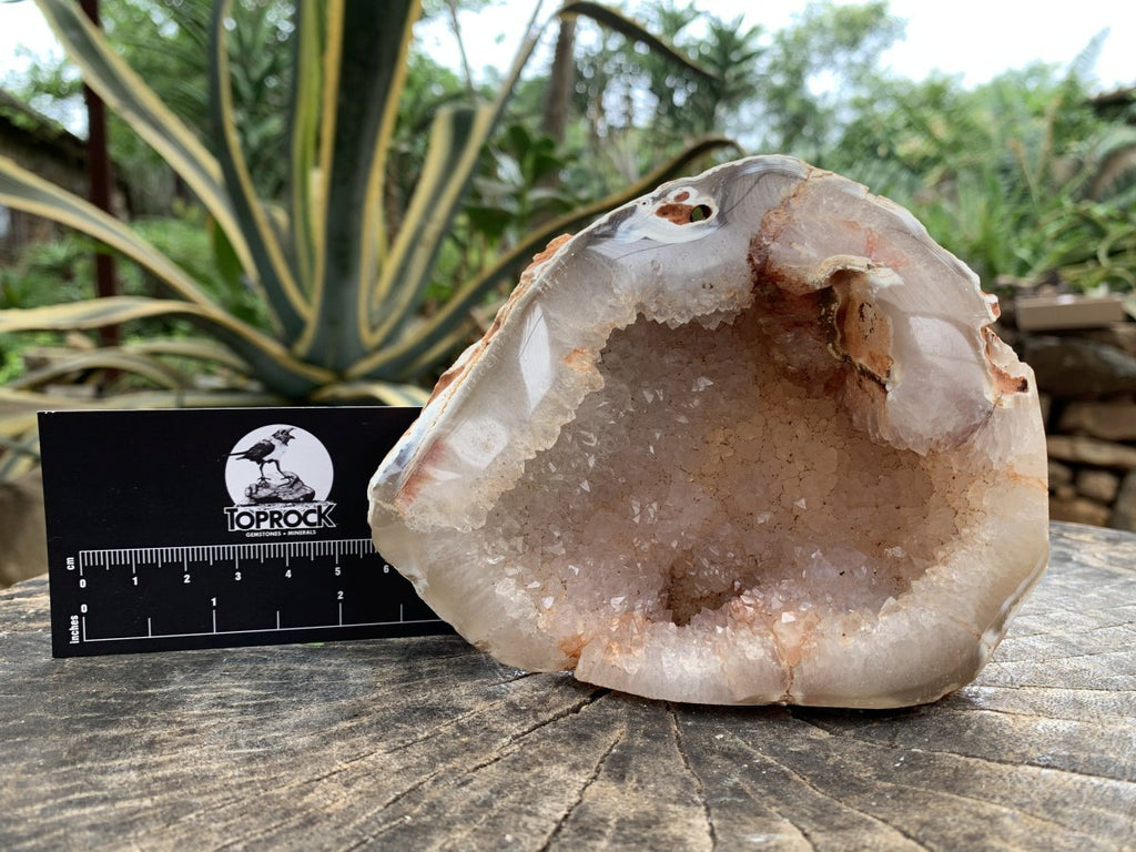 Polished Agate Crystal Geode x 1 From Maintirano, Madagascar