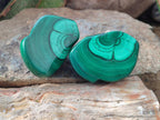 Polished Pair of Flower Banded Malachite Nodule Cut in Half x 1 From Congo
