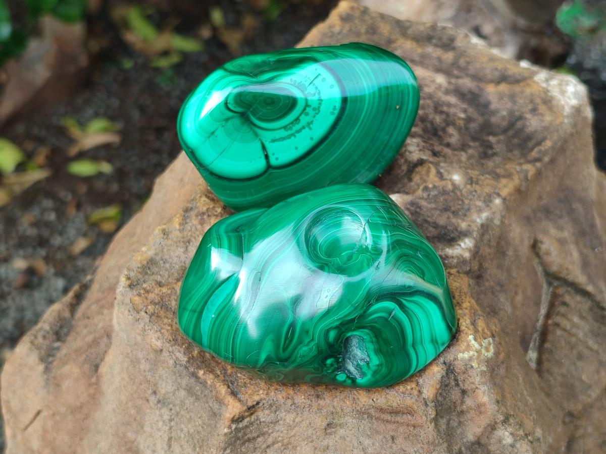 Polished Pair of Flower Banded Malachite Nodule Cut in Half x 1 From Congo