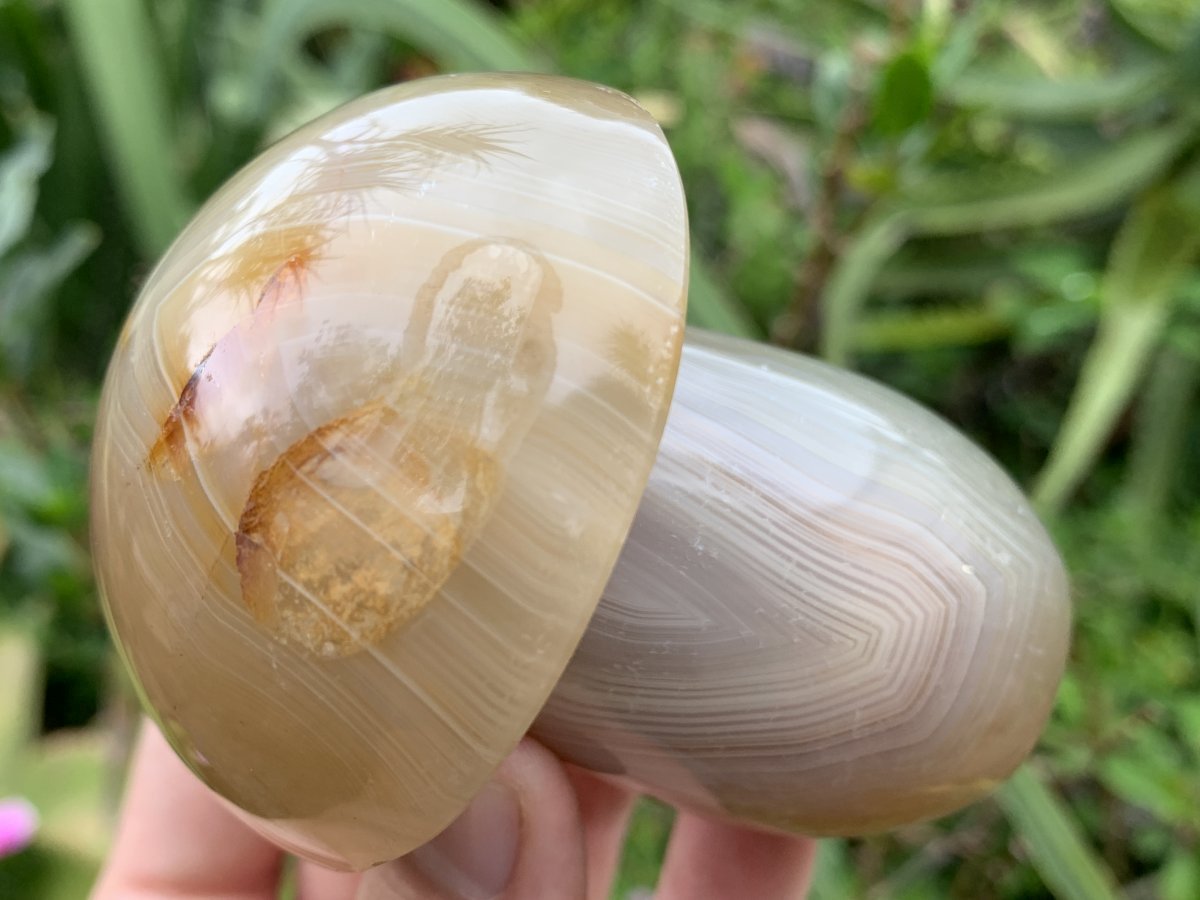 Polished Banded Agate Mushroom x 1 From Madagascar