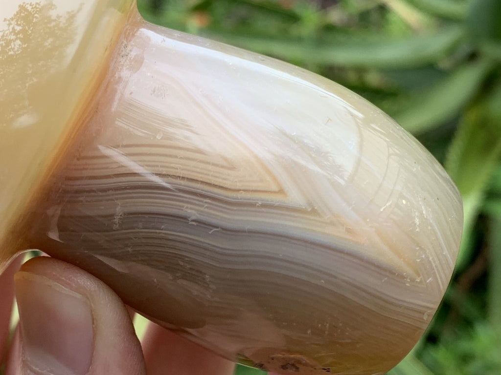 Polished Banded Agate Mushroom x 1 From Madagascar
