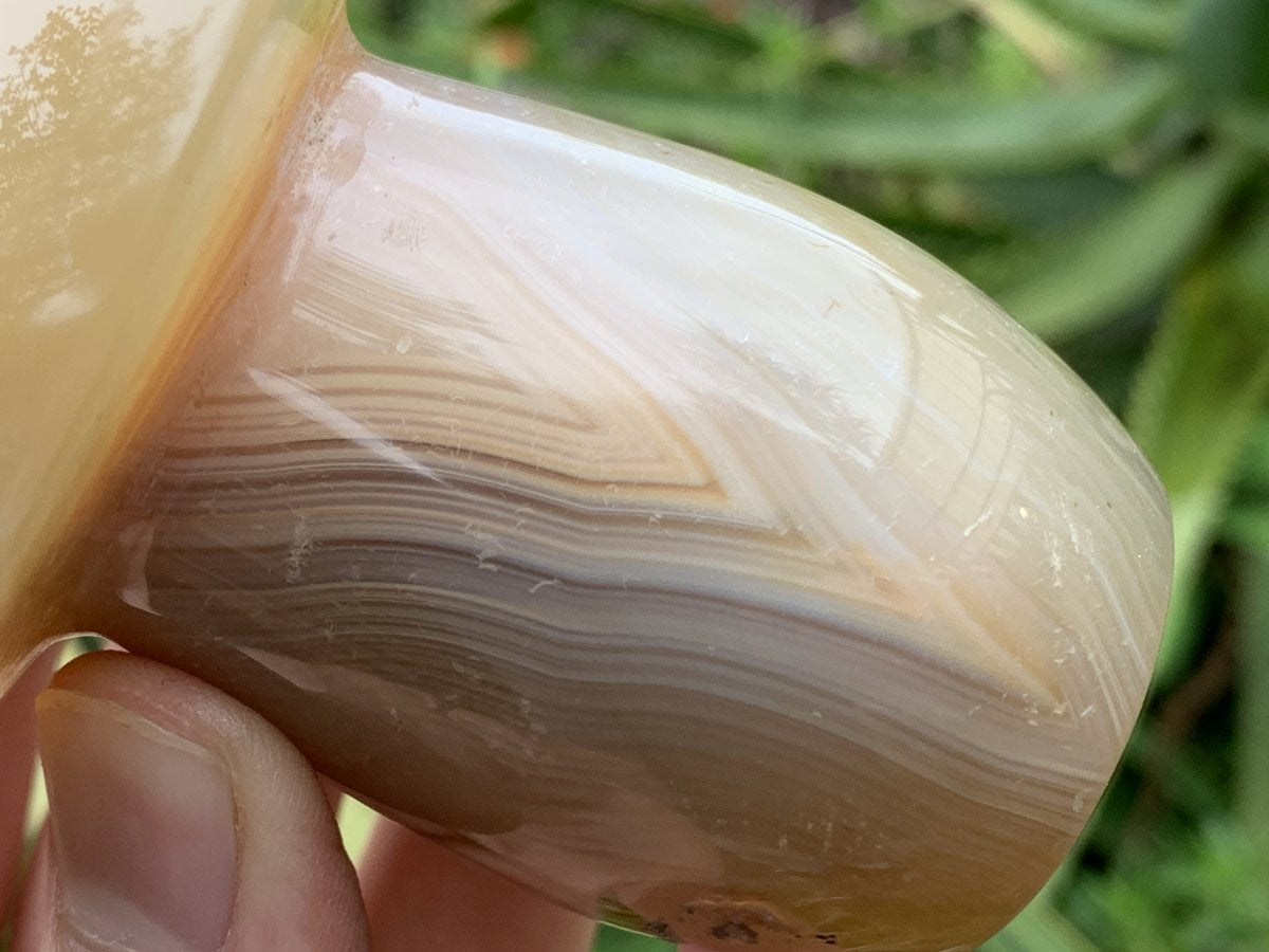Polished Banded Agate Mushroom x 1 From Madagascar