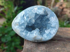 Polished Blue Celestite Geode Egg x 1 From Sakoany, Madagascar