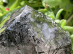 Polished Tourmalinated Inclusion Quartz Crystal x 1 From Madagascar