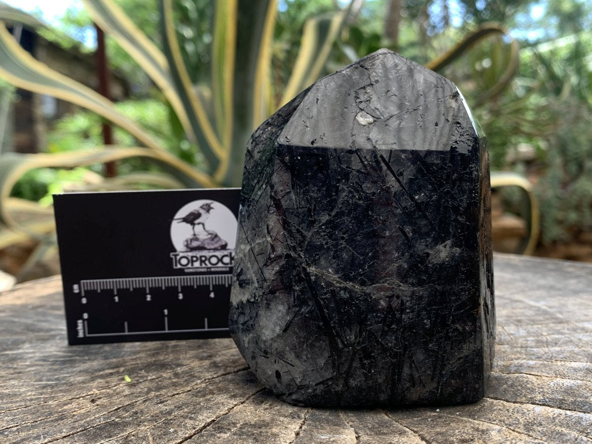 Polished Tourmalinated Inclusion Quartz Crystal x 1 From Madagascar