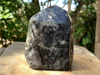 Polished Tourmalinated Inclusion Quartz Crystal x 1 From Madagascar